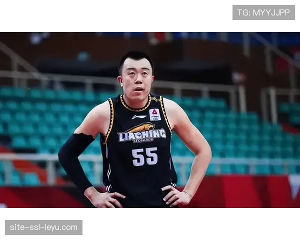 挡拆战术的极致运用：辽宁本钢如何围绕韩德君打造高效进攻起手式